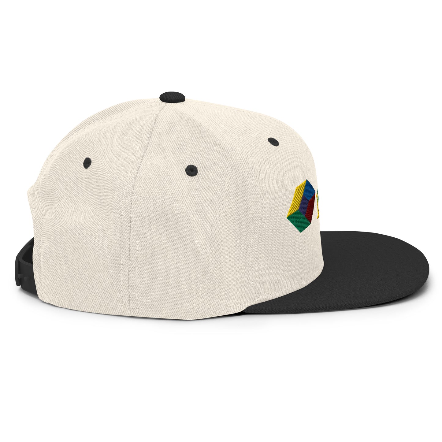 Snapback Hat